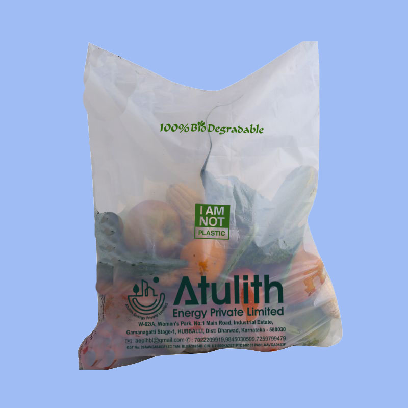 Transparent Flap Bags